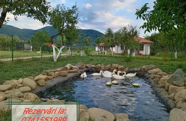 Desculti prin iarba- la 6,6 km de centrul Piatra Neamt