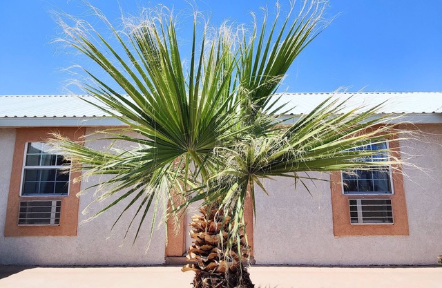 Desert Inn