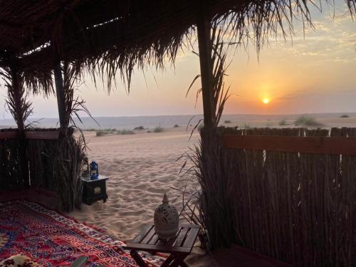Desert Moments Camp