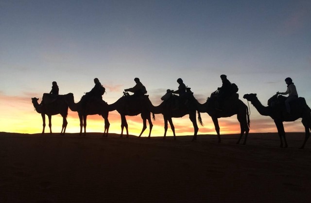 Desert Queen Camp