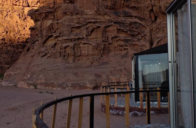 Desert tree camp