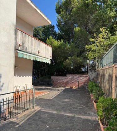 Desiderio D'Ammore CILENTO