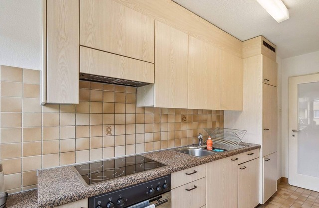 Desirable Apartments 27` to Zurich center