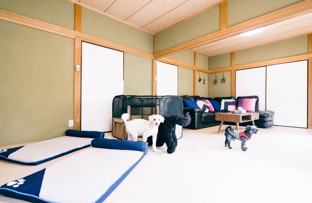 Detached private guest house with dog run nonsmo / Sambu-gun Chiba