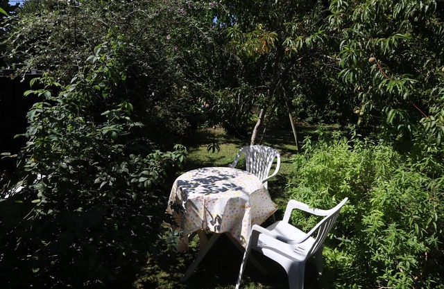 Vrbo Property