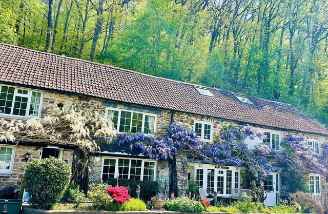 Charming Holiday Cottage in Devon - Country Views