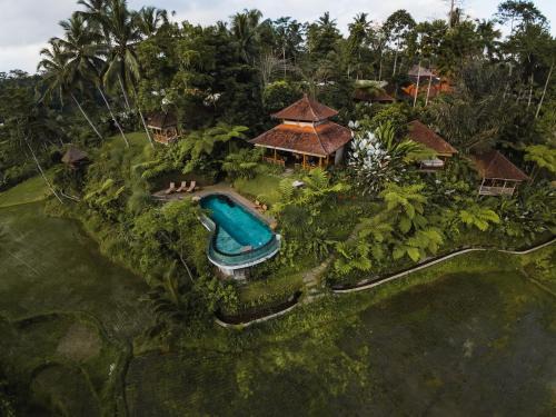 Dewi Tara Haven