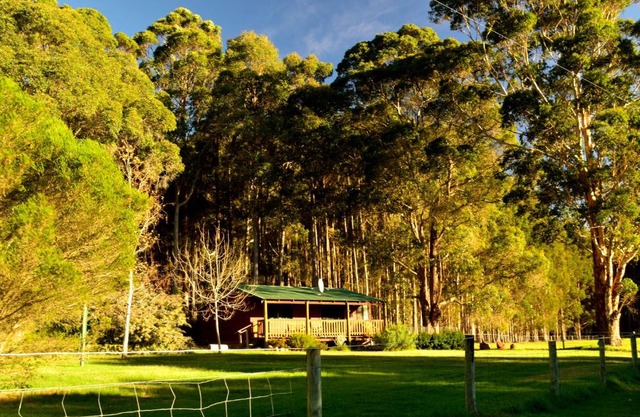 Diamond Forest Farm Stay