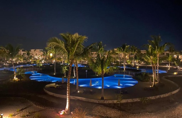 Diamond Forest Island Hawana
