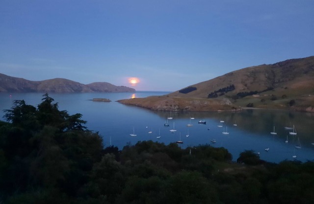 Diamond Harbour Hideaway Top Flat -Amazing views