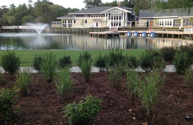 Diamond Resorts. one bedroom, one pull out queen couchone bath, sleeps 4 adults.