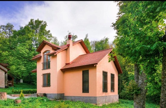 Dilijan Dream House! 3 Bedroom Amazing Villa in National Park!