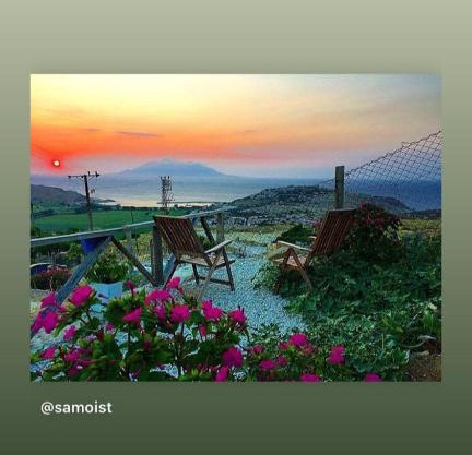 Dimitri Ada Evi & Restaurant
