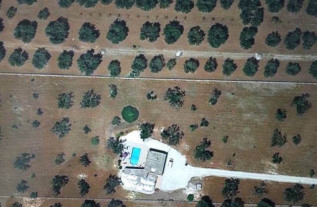 Dimora 13: un oasis de tranquilidad entre los olivos