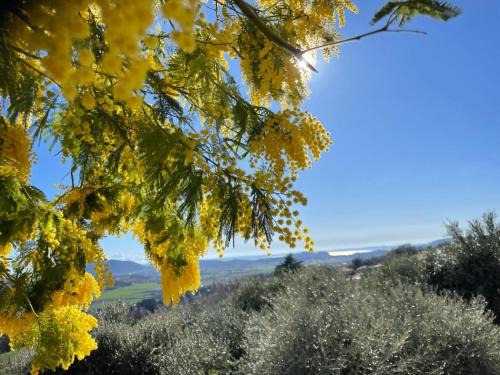 Dimora Borgo Gaon - Casa Elios con wi-fi e 3 bagni