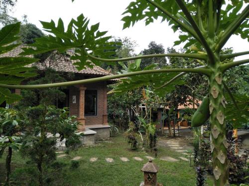 Dina Homestay