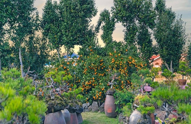 Diorem Pension