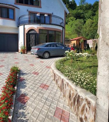 DIOSKURIA BORJOMi