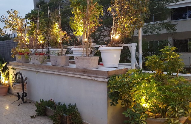 Sumérjase en un apartamento de vacaciones o de negocios ecológico, BB por estancia, 5 minutos al centro