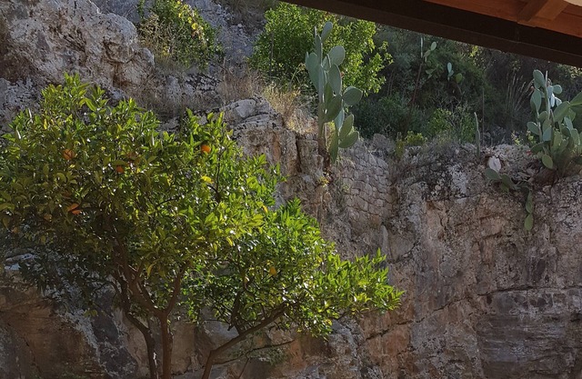 Casa grande de piedra accesible para discapacitados en el naranjal