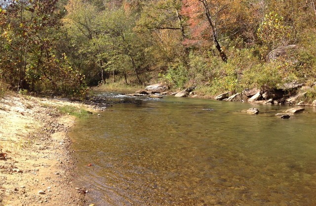 CABINA FRENTE AL AGUA Precioso PineyCreek-Fish, Play, Nature, Firepit, WiFi-kids luv it