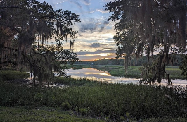 Discover 5 Acres of Secluded Luxury on the Marsh and Close to the Beach: Edisto