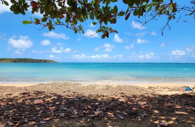 Hermosas Aguas del Caribe - Playa 7 Mares, El Yunque, Isla Icacos
