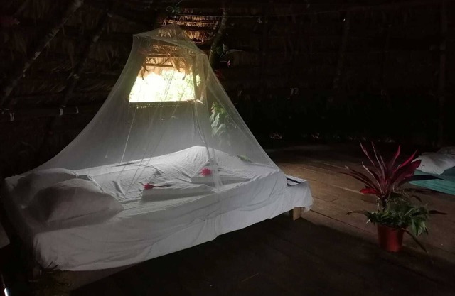 Ditsowou Lodge & Tours