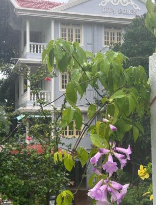 Diva Gomes Guest House