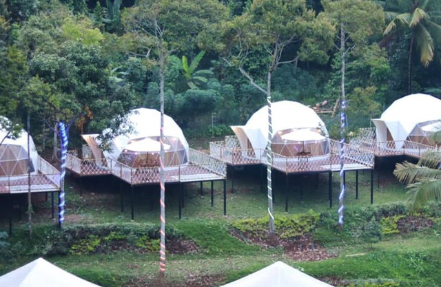 Dmangku Farm Serang
