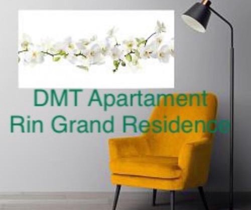 DMT Apartament regim hotelier Rin