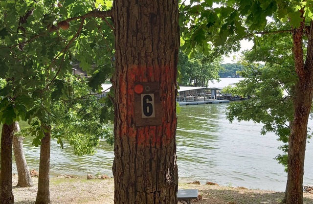 DnD Campground Site #6 Lake Front Primitive Camp site