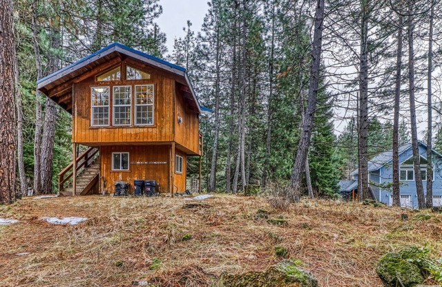 ¡Cabaña para perros en el bosque con cocina americana y vistas impresionantes a la montaña!