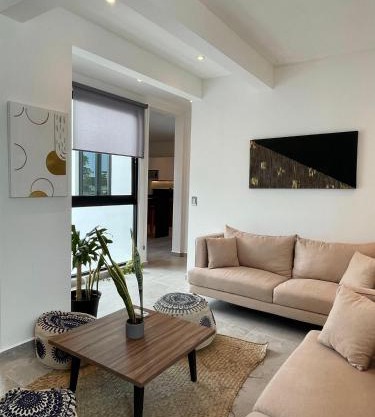DOI 45 Apartment