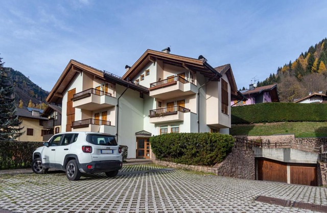 DolomiApartments - Casa Francy