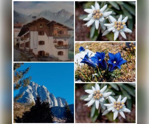 DOLOMITI Ferienwohnung, Appartamento vacanze.