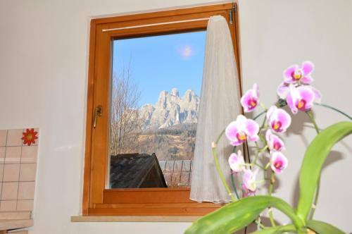 Dolomitohouse PEZ