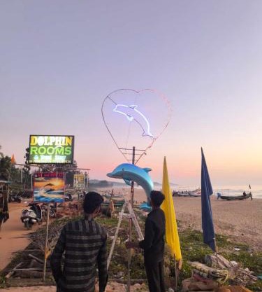 Dolphin beach stay