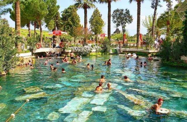 dolphin hotel