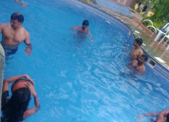 Dolphin resort
