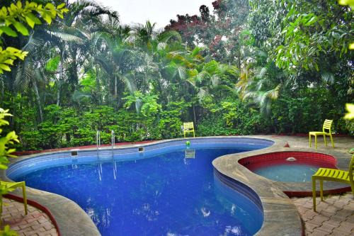 Dolphin Resort