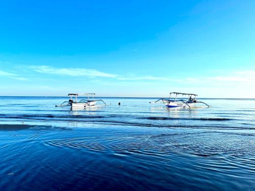Dolphin Tour Private Villa Packet At Seririt