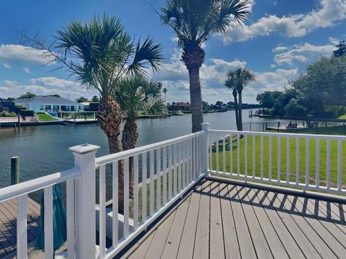 Dolphin View Oasis