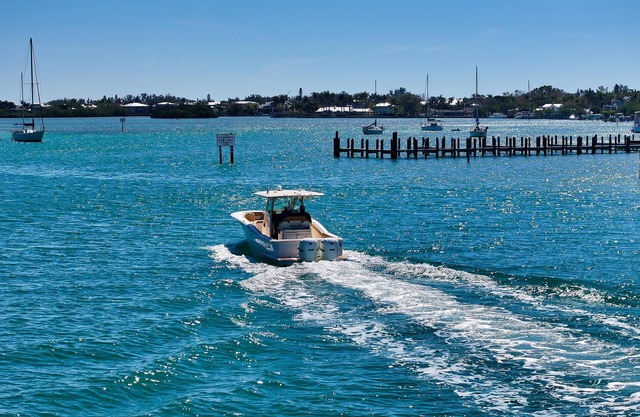Dolphin View Retreat