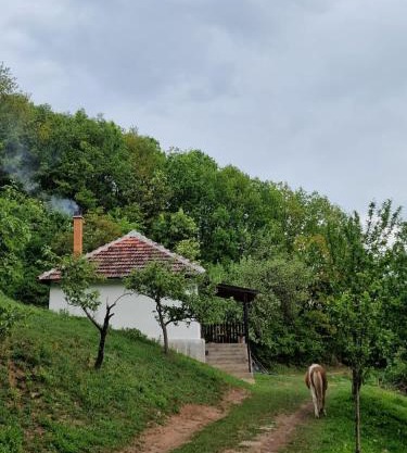 Domaćinstvo Ristović