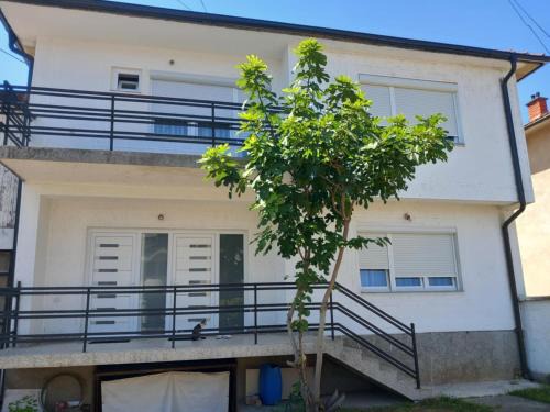 Domi Apartment