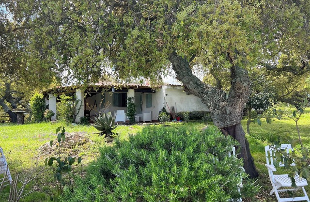 DOMO MEA beautiful farmhouse immersed in theSardinian countryside an its animals