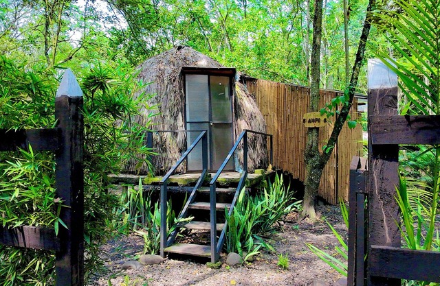 “Domo Nativo: Aventura y Relax en el Corazón del Bosque”
