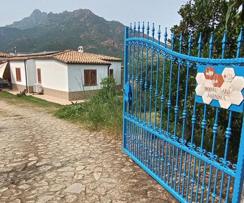 Domu abi manna