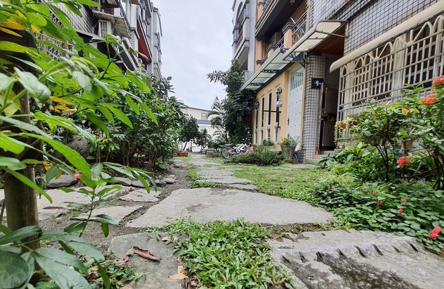 Dongshan River Left bank B&B